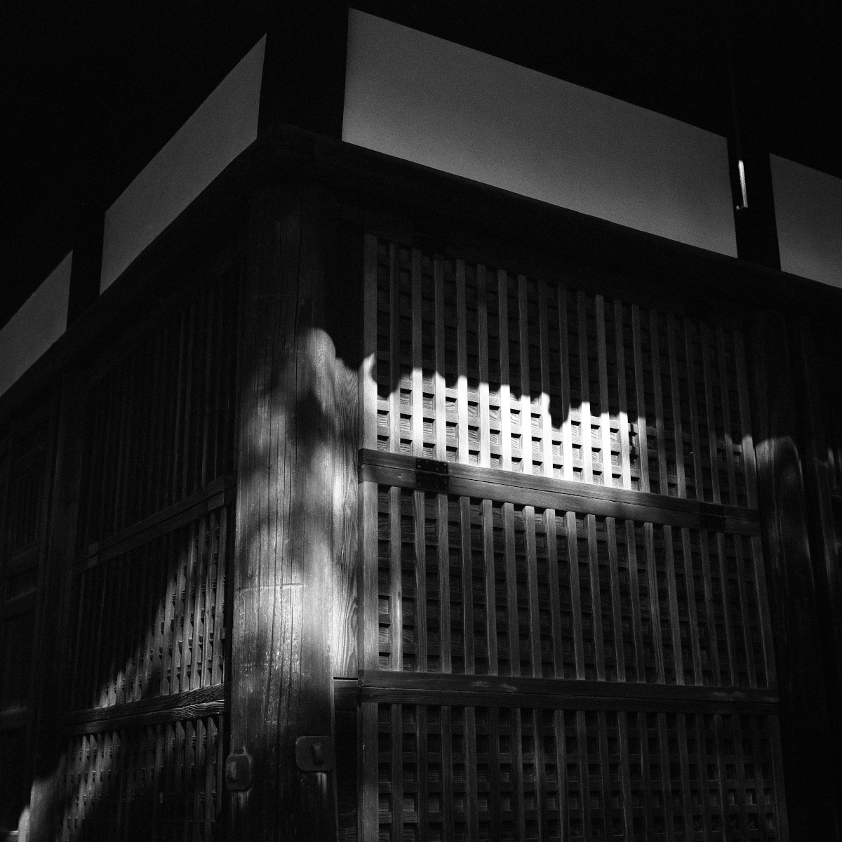 フィルム – こぼうしの写真とカメラの庵「まいぺーす・ふぉと」