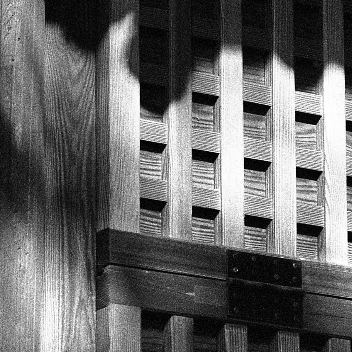 フィルム – こぼうしの写真とカメラの庵「まいぺーす・ふぉと」